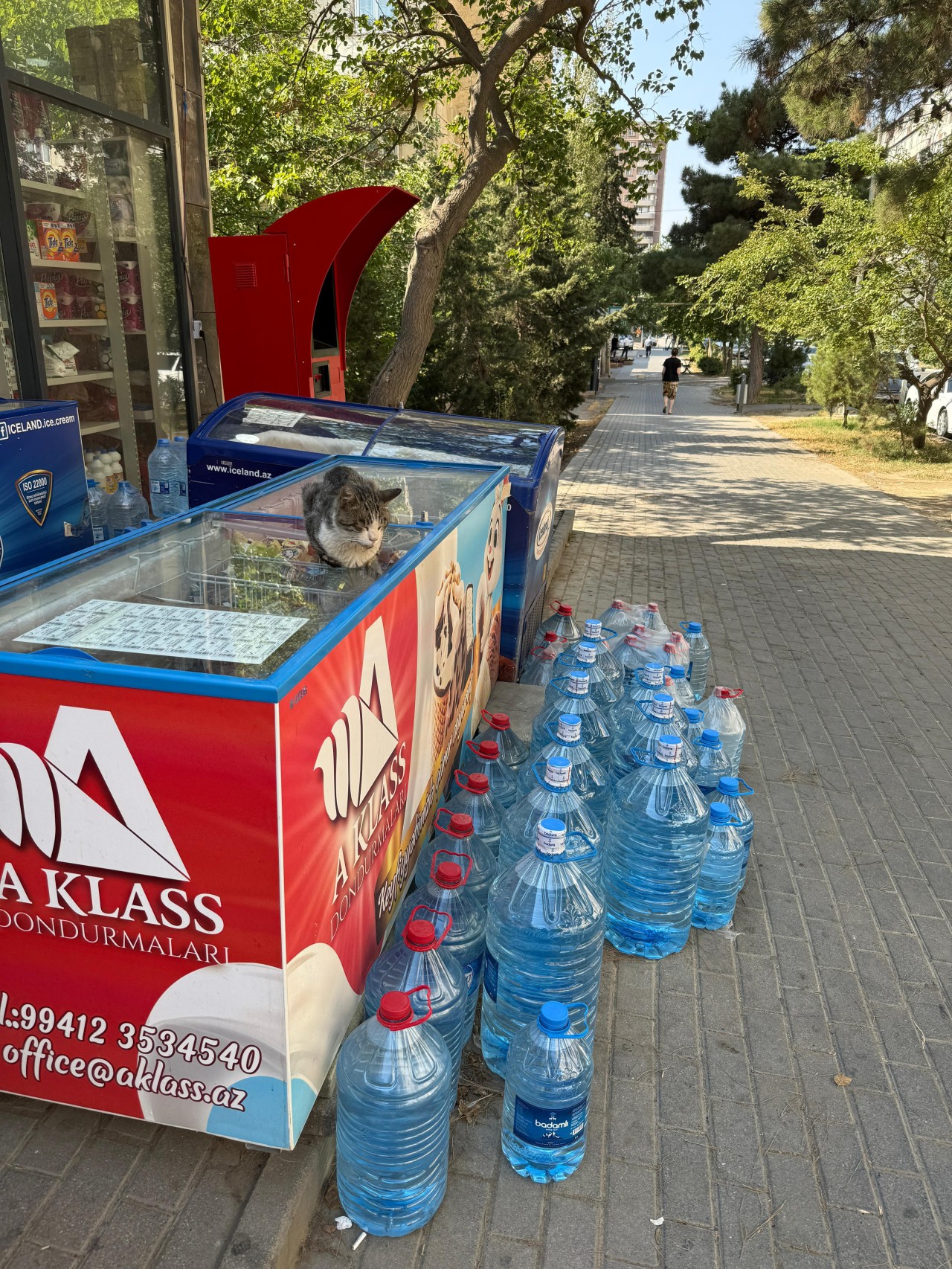 Ticarət və satış şəbəkələrində monitorinqlər keçirilir - FOTOLAR