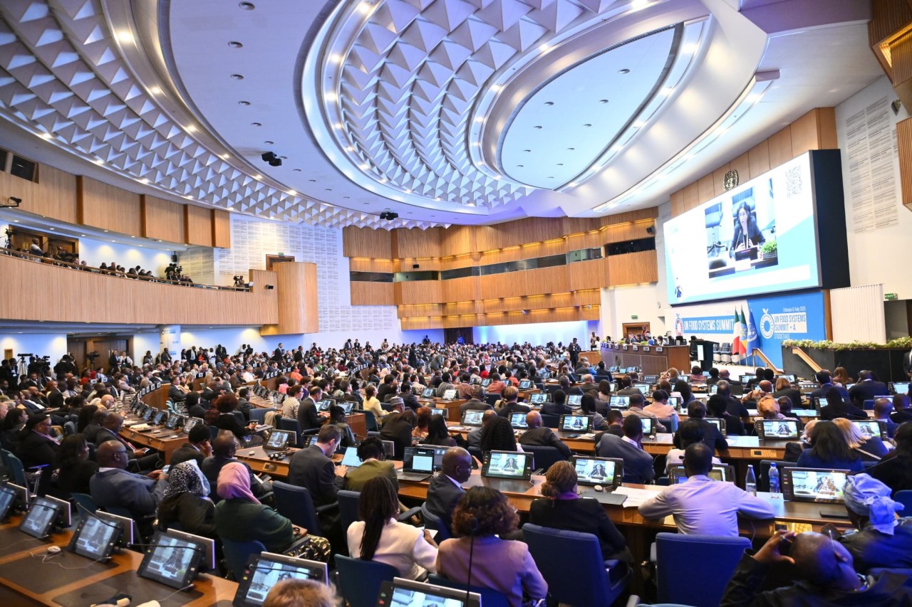 Nazir BMT-nin Qida Sistemləri üzrə II Sammitində çıxış edib - FOTOLAR