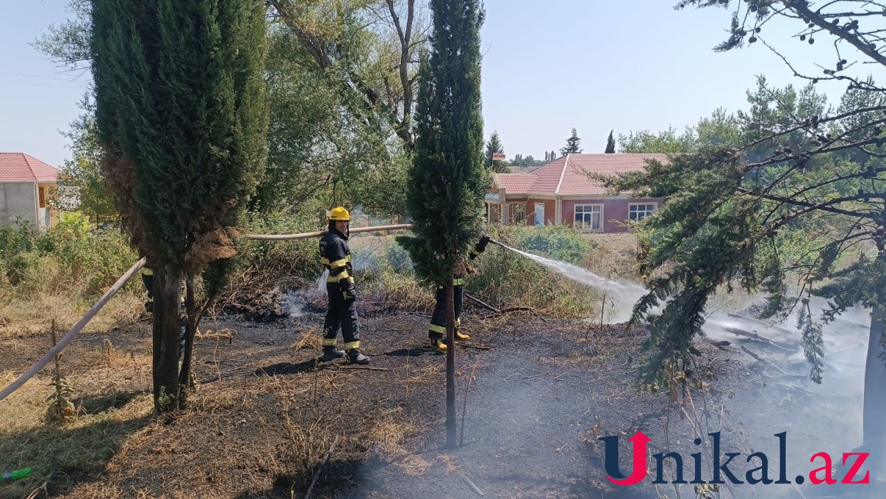 Tovuzda açıq ərazidə ağaclar yandı - FOTO