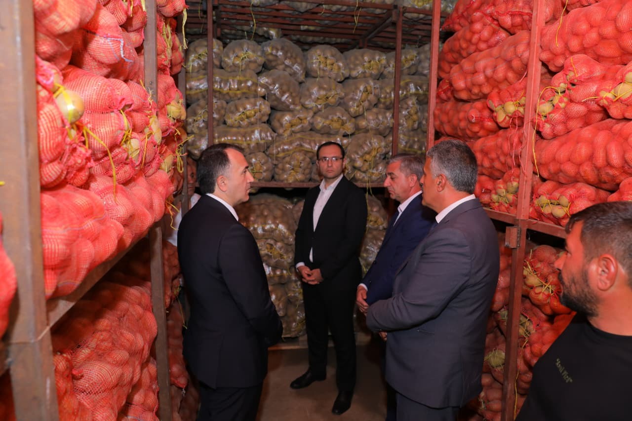 Məcnun Məmmədov Naxçıvanda fermer təsərrüfatlarına baş çəkdi - FOTOLAR