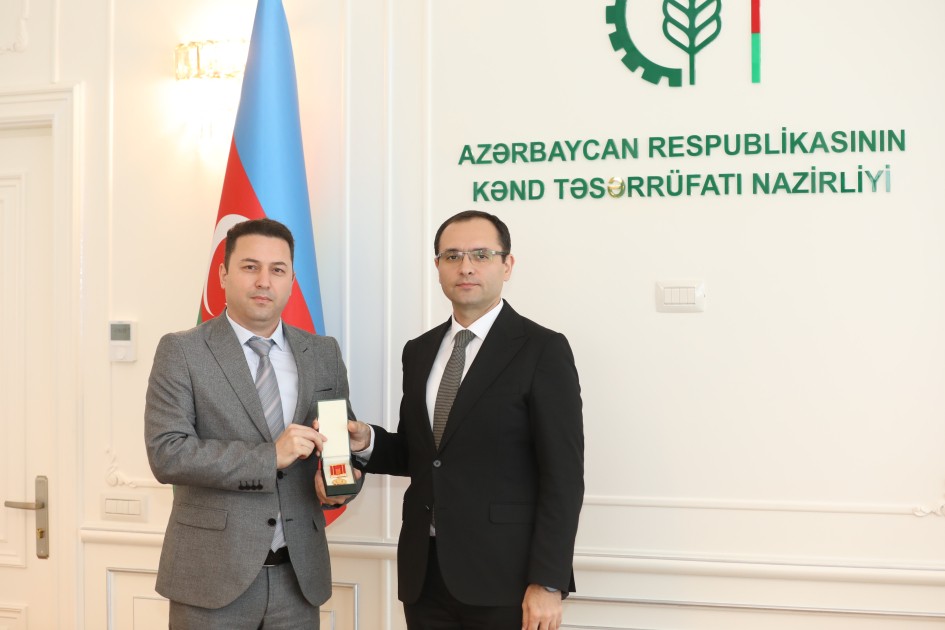 Nazir əməkdaşlarına medal və vəsiqələrini təqdim etdi - FOTOLAR