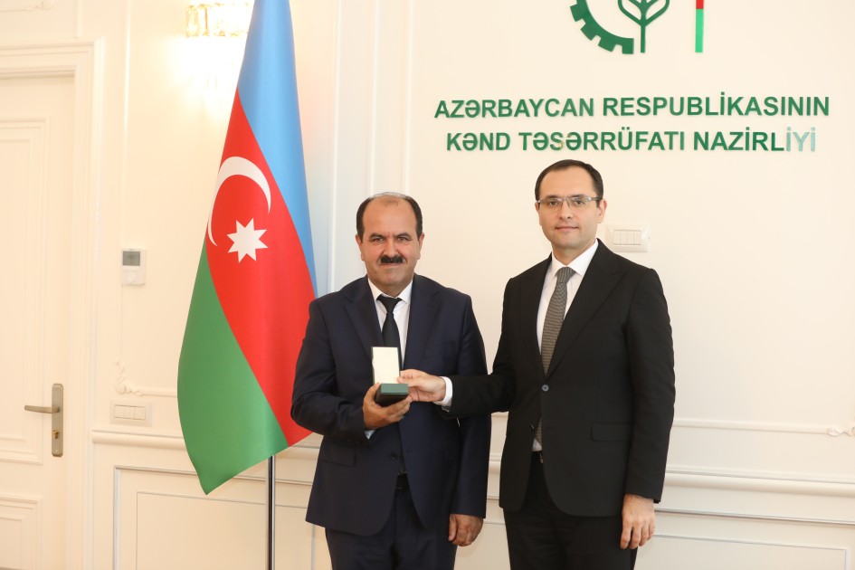 Nazir əməkdaşlarına medal və vəsiqələrini təqdim etdi - FOTOLAR
