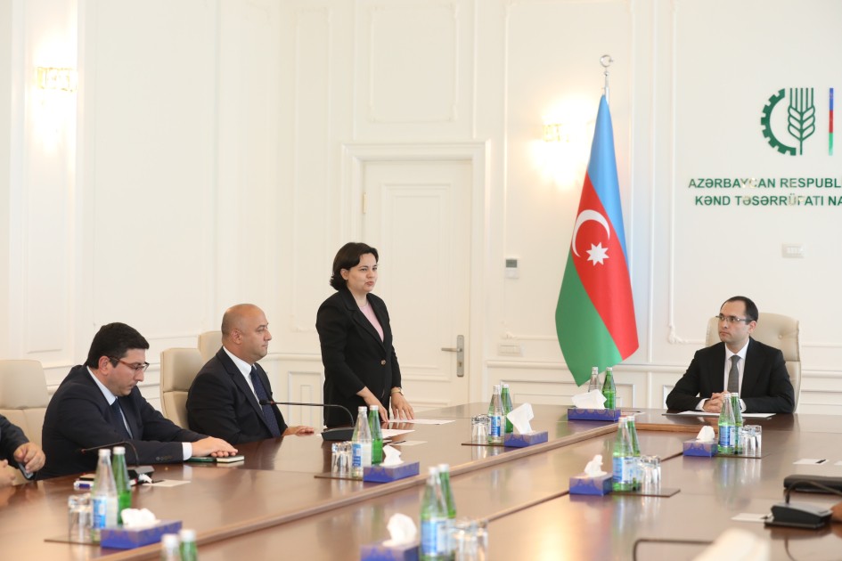 Nazir əməkdaşlarına medal və vəsiqələrini təqdim etdi - FOTOLAR