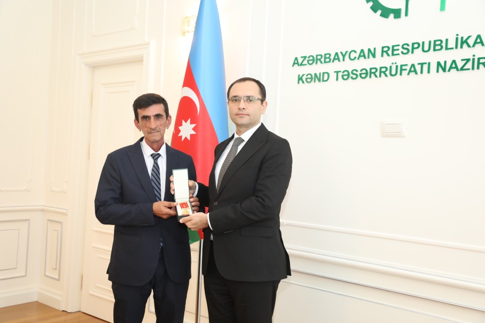 Nazir əməkdaşlarına medal və vəsiqələrini təqdim etdi - FOTOLAR