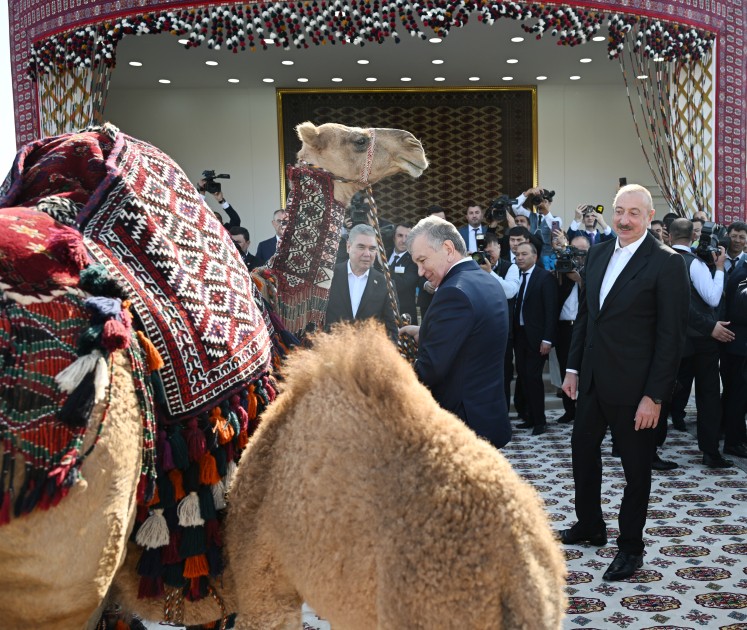 İlham Əliyevə “Axaltəkə” atı hədiyyə edildi - VİDEO (YENİLƏNİB)