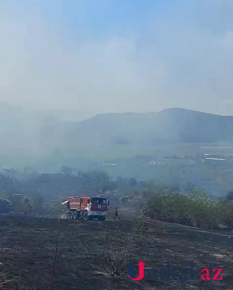 Ağdərədə meşə ərazisində yanğın başlayıb - FOTO