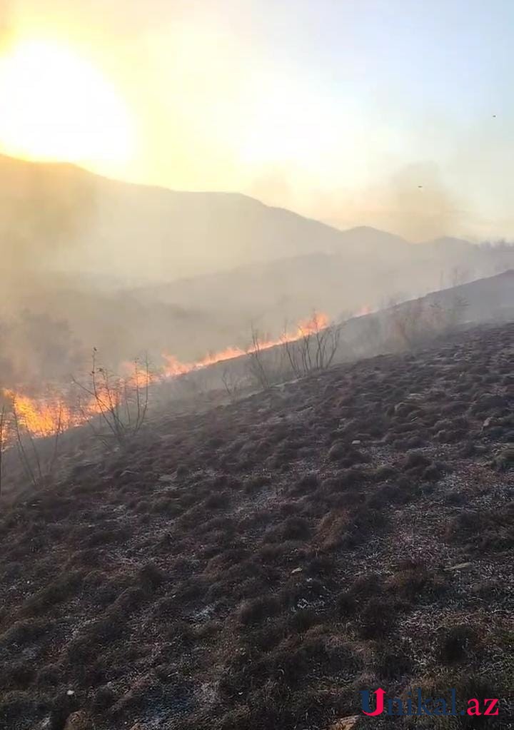 Ağdərədə meşə ərazisində yanğın başlayıb - FOTO