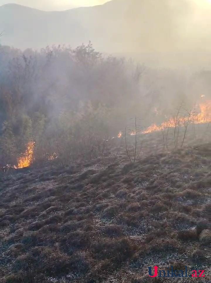 Ağdərədə meşə ərazisində yanğın başlayıb - FOTO