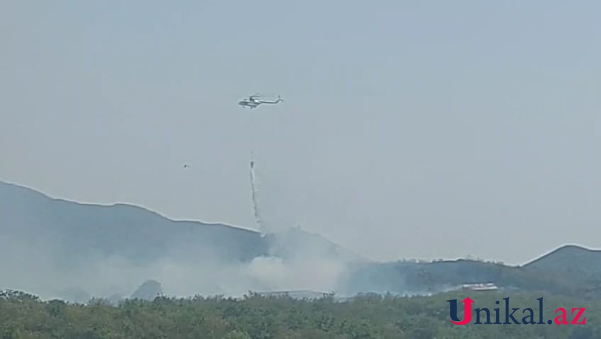 Ağdərədə meşə ərazisində yanğın başlayıb - FOTO