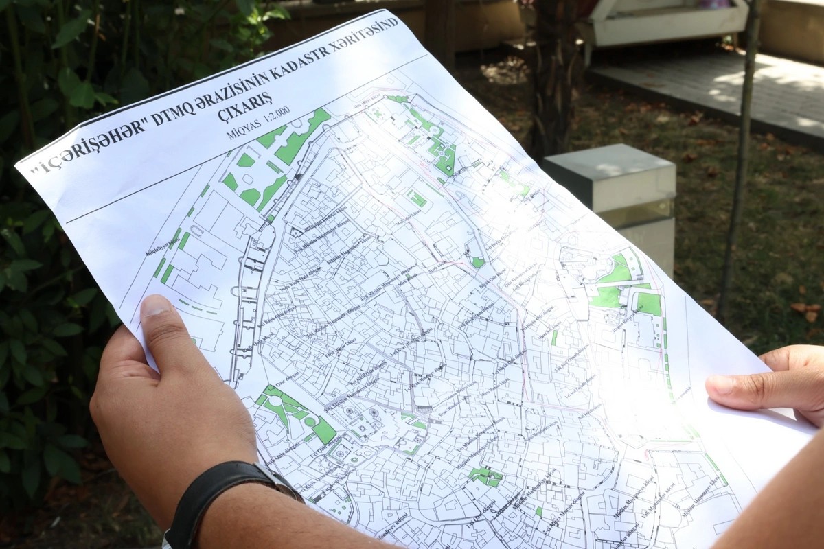 İçərişəhərdəki ağacların qeydiyyatı və nömrələnməsinə başlanıldı - FOTOLAR