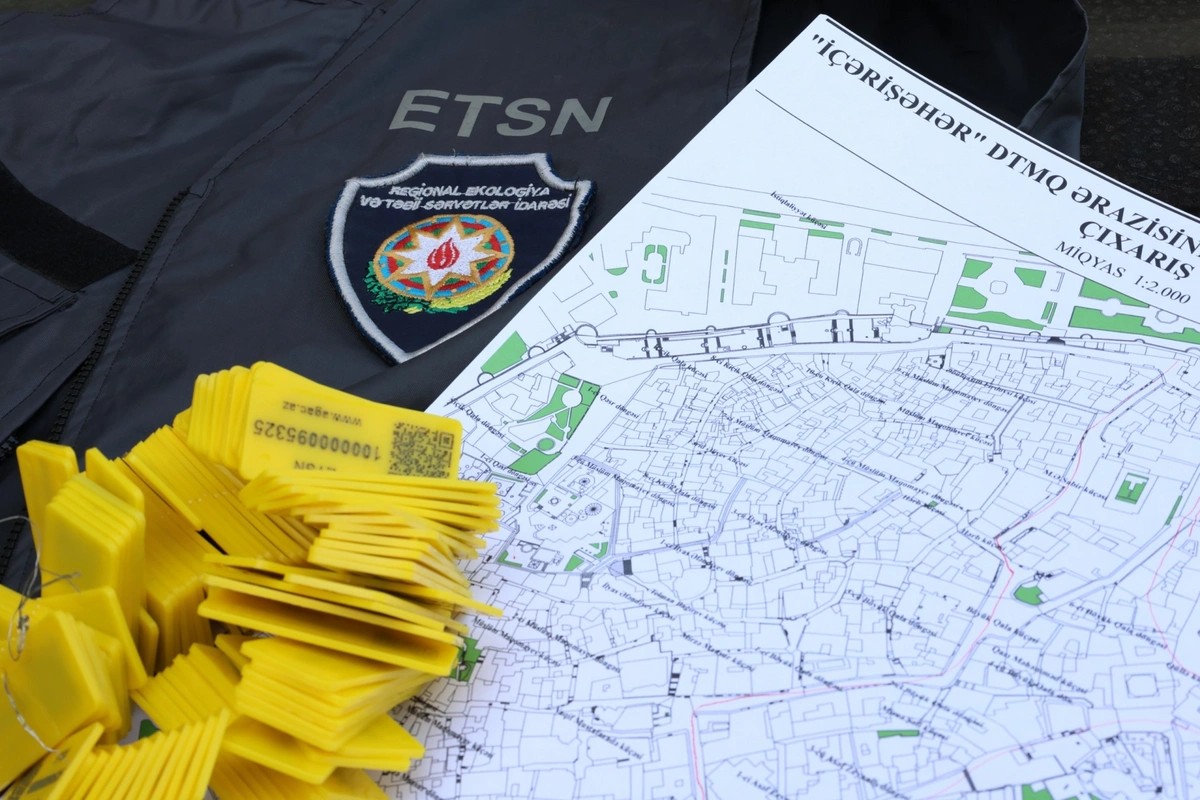 İçərişəhərdəki ağacların qeydiyyatı və nömrələnməsinə başlanıldı - FOTOLAR