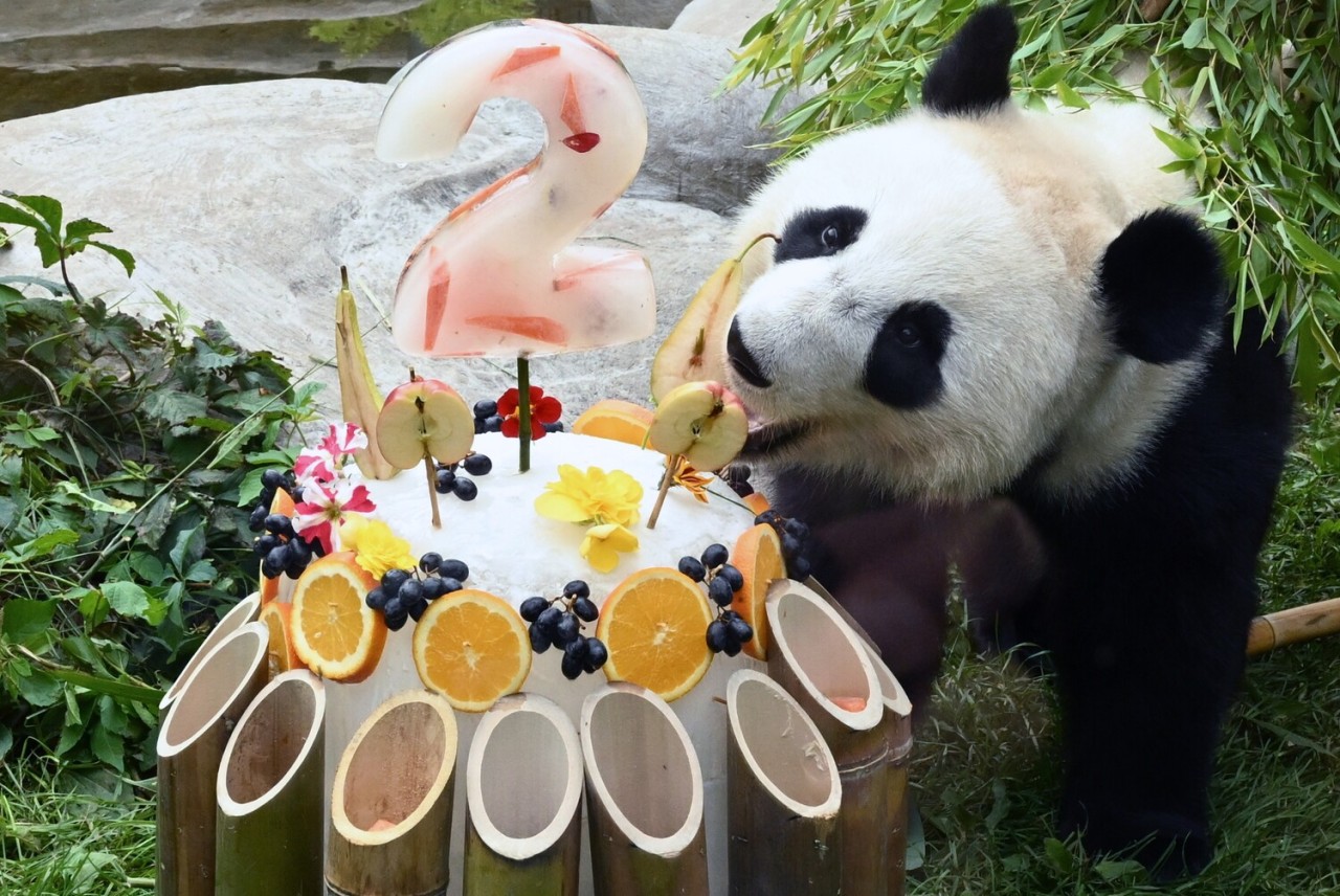 Dünyada baş verənlər FOTOLARDA