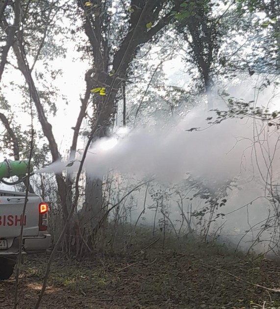 Meşələrdə zərərvericilərə qarşı mübarizə tədbirləri görülür - FOTOLAR