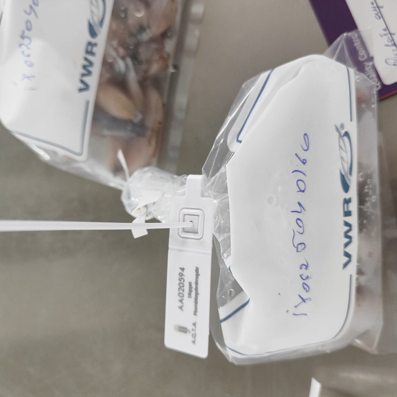 İxrac olunan bəzi məhsullar sertifikatlaşdırılıb - FOTOLAR