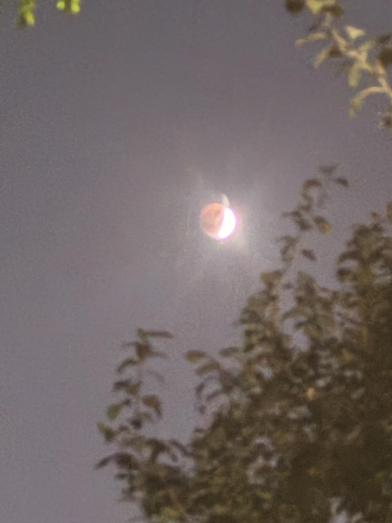 İlin ikinci Ay tutulması başlayıb - FOTOLAR