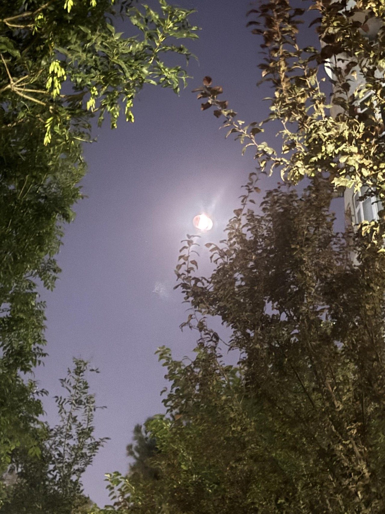 İlin ikinci Ay tutulması başlayıb - FOTOLAR