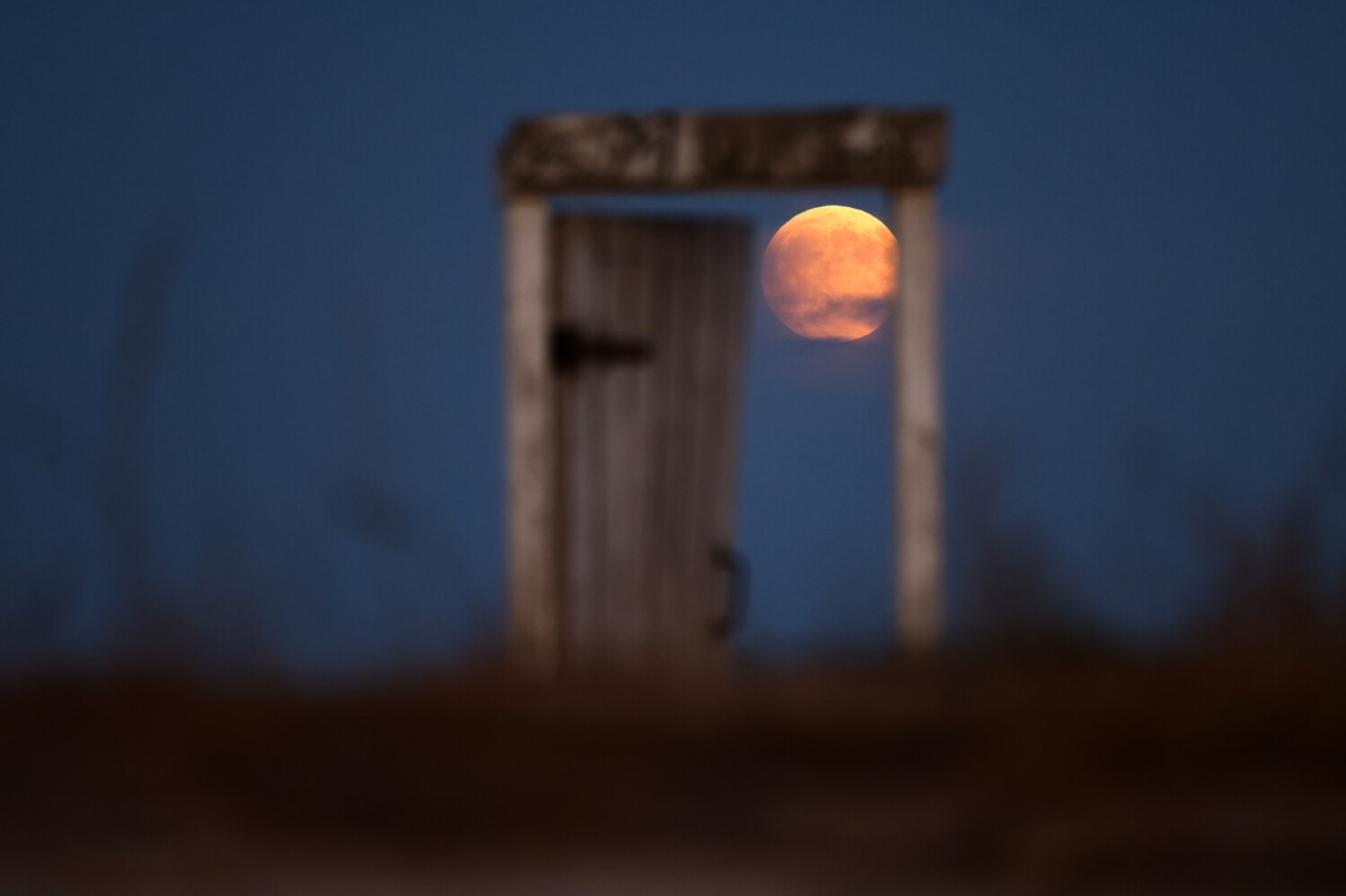 Mən səni gördüm ay işığında... - FOTOLAR