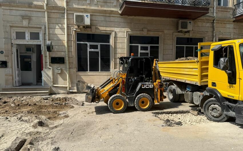 Bu küçədə yeni yaşıllıq əraziləri salınır - FOTOLAR