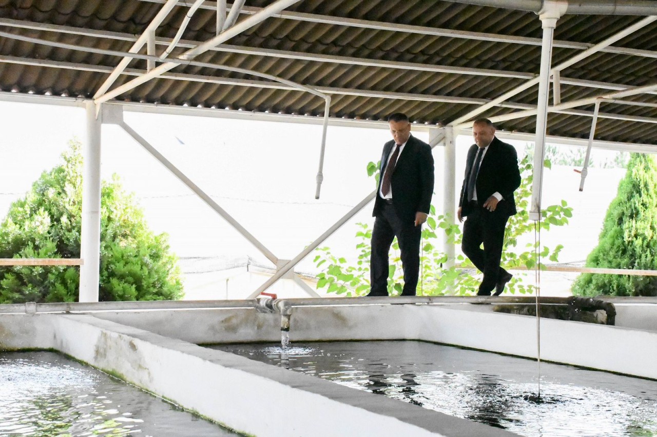 İğdır Universitetinin rektoru ADAU-ya səfər edib - FOTOLAR