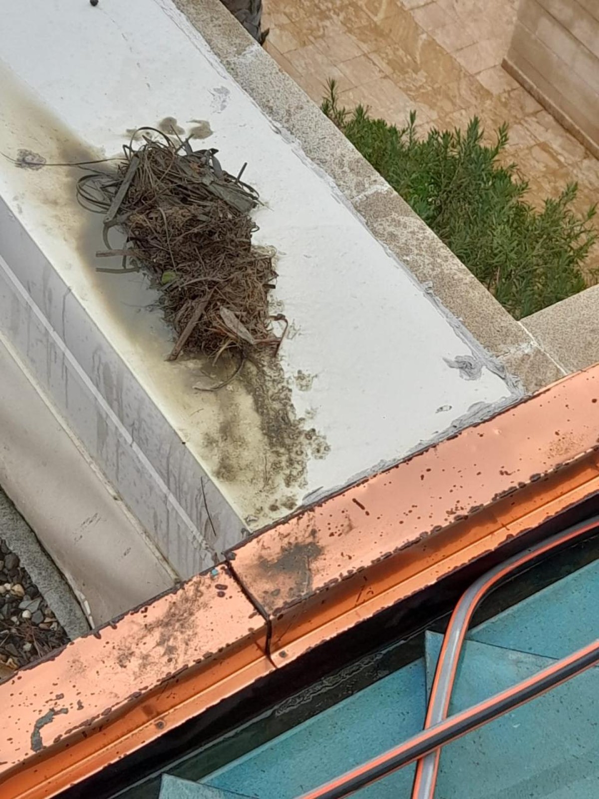 "Armadil Group"la bağlı məhkəmə çəkişməsi - Əslində nə baş verir?