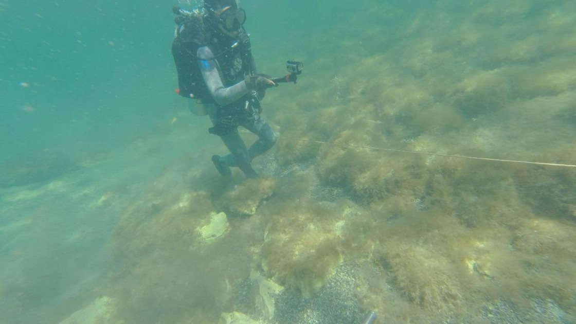 Xəzərin dibi ilə kabel çəkilməsi üzrə tədqiqat başa çatdırılır - FOTO