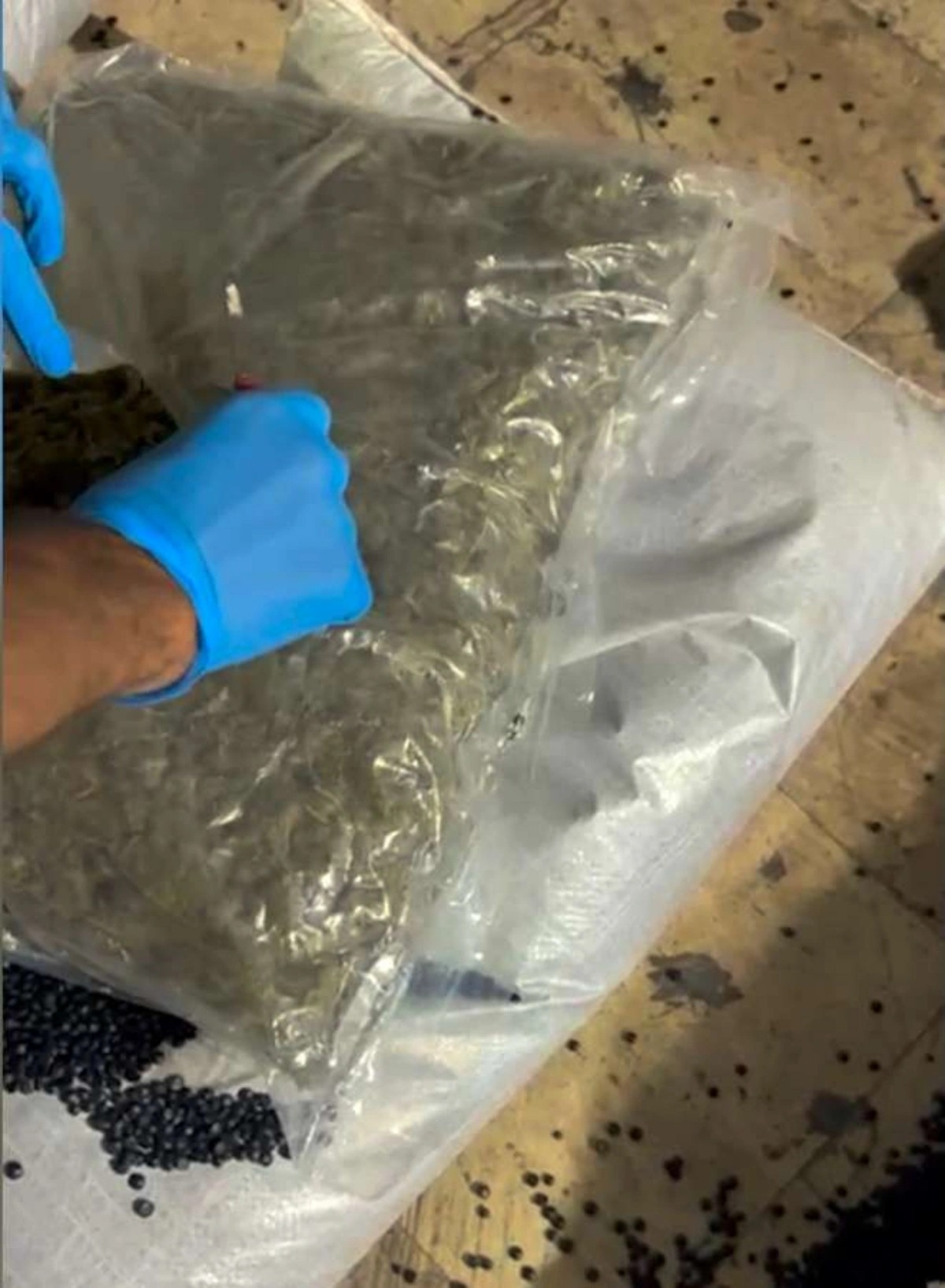 "Culfa" gömrük postunda 63 kiloqram narkotik vasitə aşkarlandı - FOTO