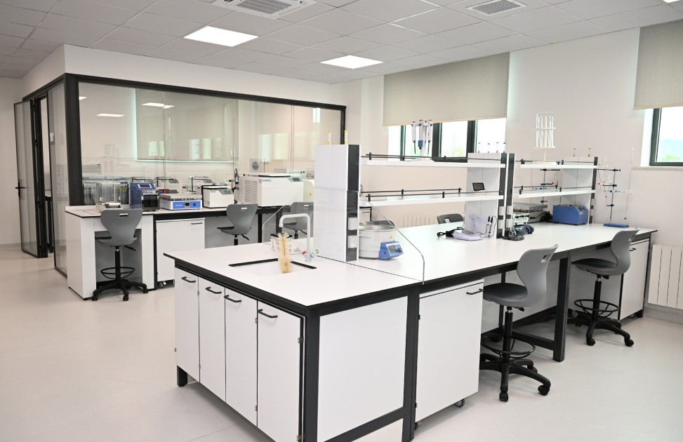 Prezident Xankəndində açılışlar etdi - FOTOLAR