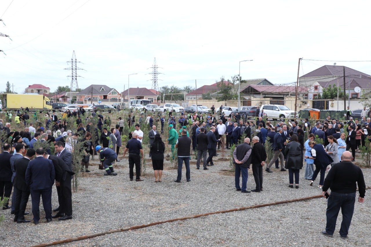 Suraxanıda ağacəkmə aksiyası keçirilib - FOTOLAR