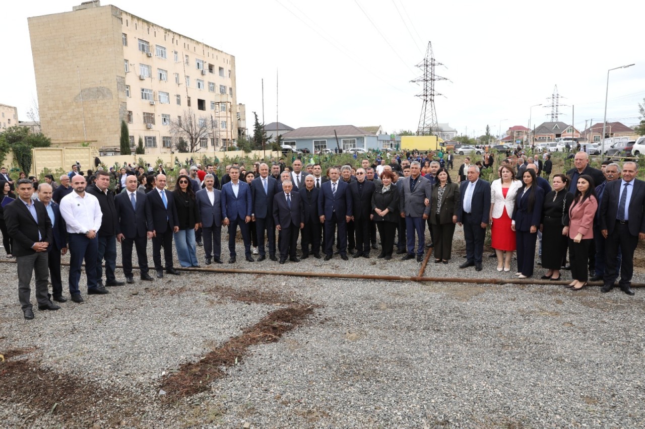 Suraxanıda ağacəkmə aksiyası keçirilib - FOTOLAR
