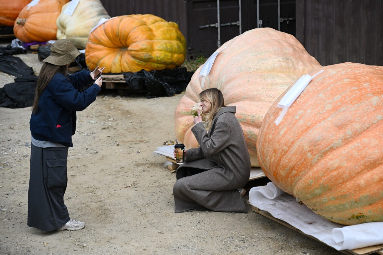 Dünyada baş verənlər FOTOLARDA