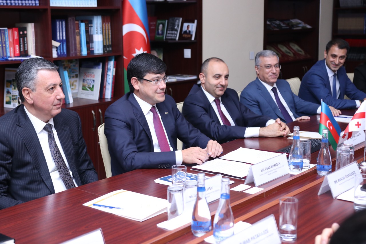 Fuad Muradov gürcüstanlı nazir ilə görüşdü - FOTOLAR