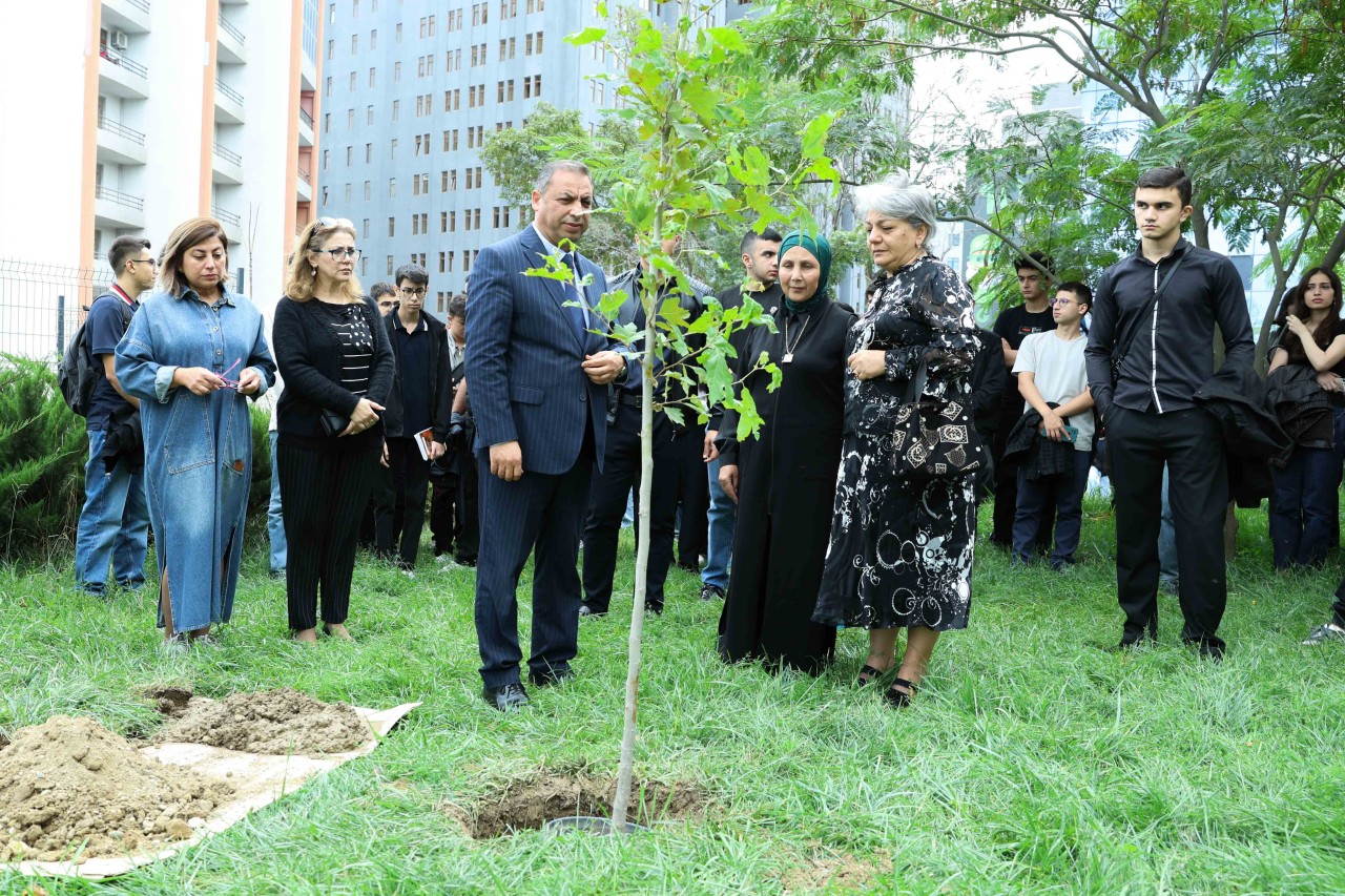 UNEC-də kök salan şəhidlər: Onların xatirəsi Xan çinarla əbədiləşdirildi (VİDEO)
