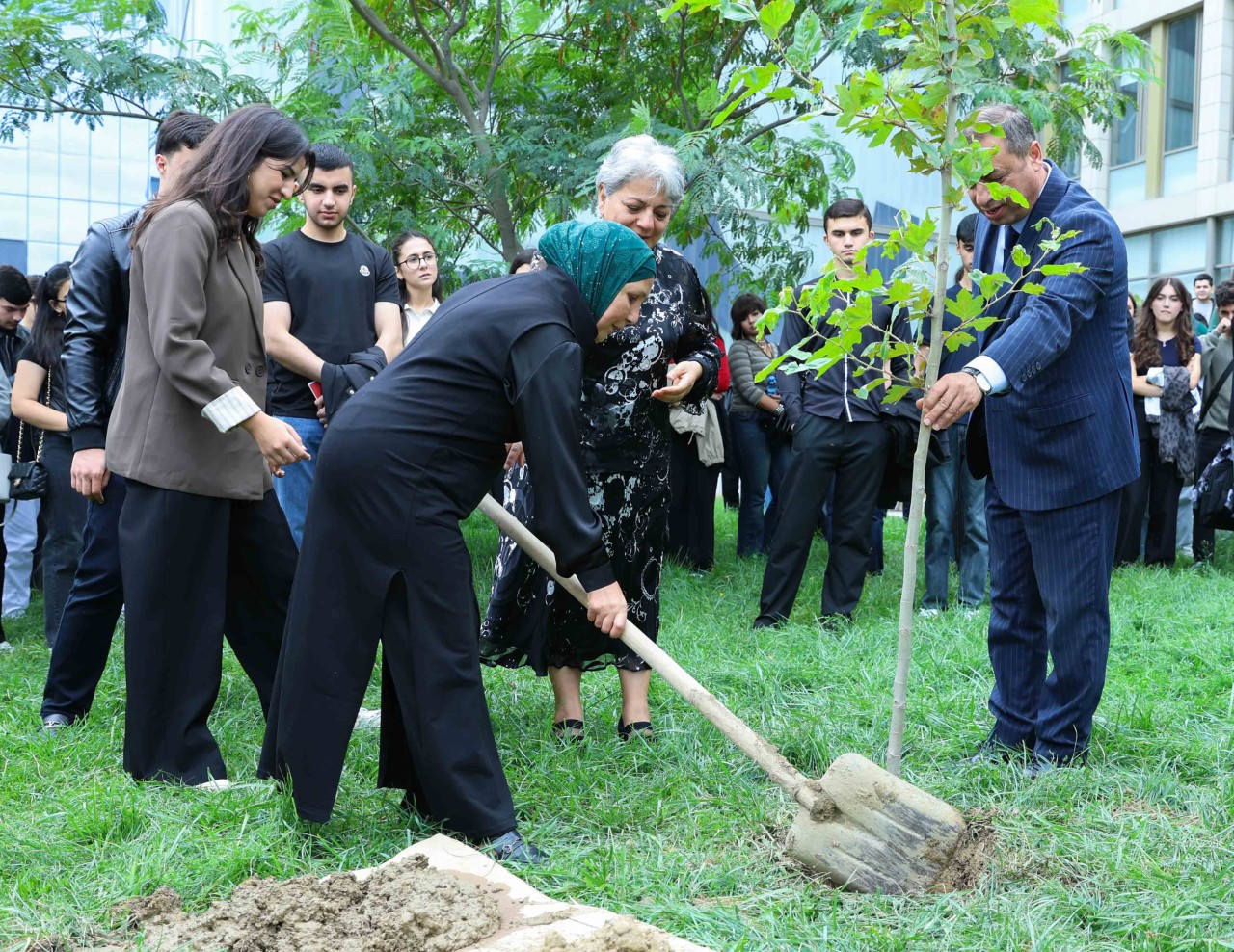 UNEC-də kök salan şəhidlər: Onların xatirəsi Xan çinarla əbədiləşdirildi (VİDEO)