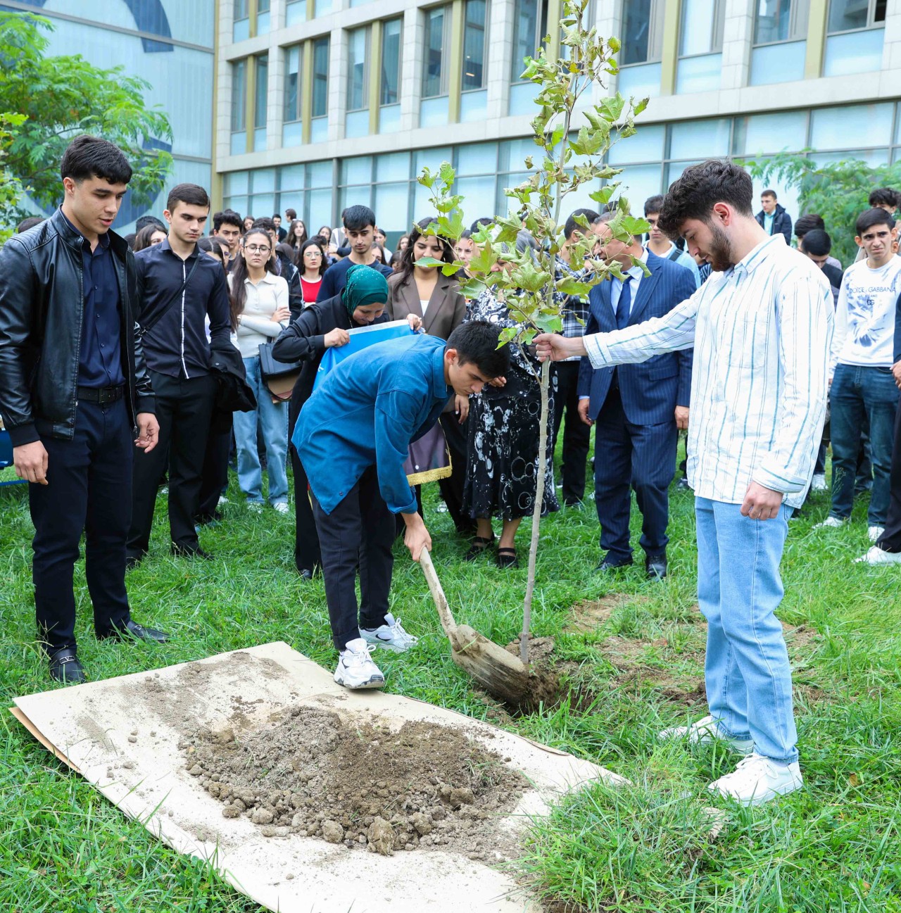UNEC-də kök salan şəhidlər: Onların xatirəsi Xan çinarla əbədiləşdirildi (VİDEO)