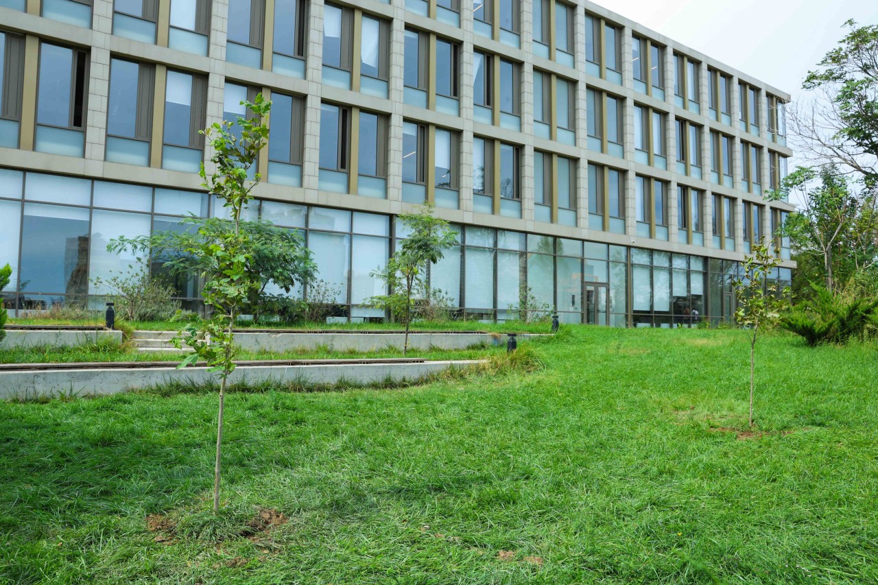 UNEC-də kök salan şəhidlər: Onların xatirəsi Xan çinarla əbədiləşdirildi (VİDEO)