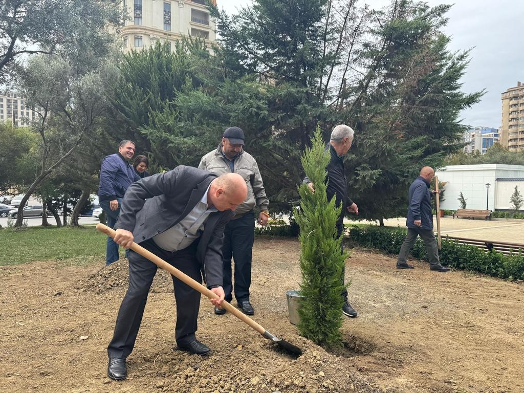 YAP Nəsimi rayon təşkilatı ağacəkmə aksiyası keçirdi - FOTOLAR