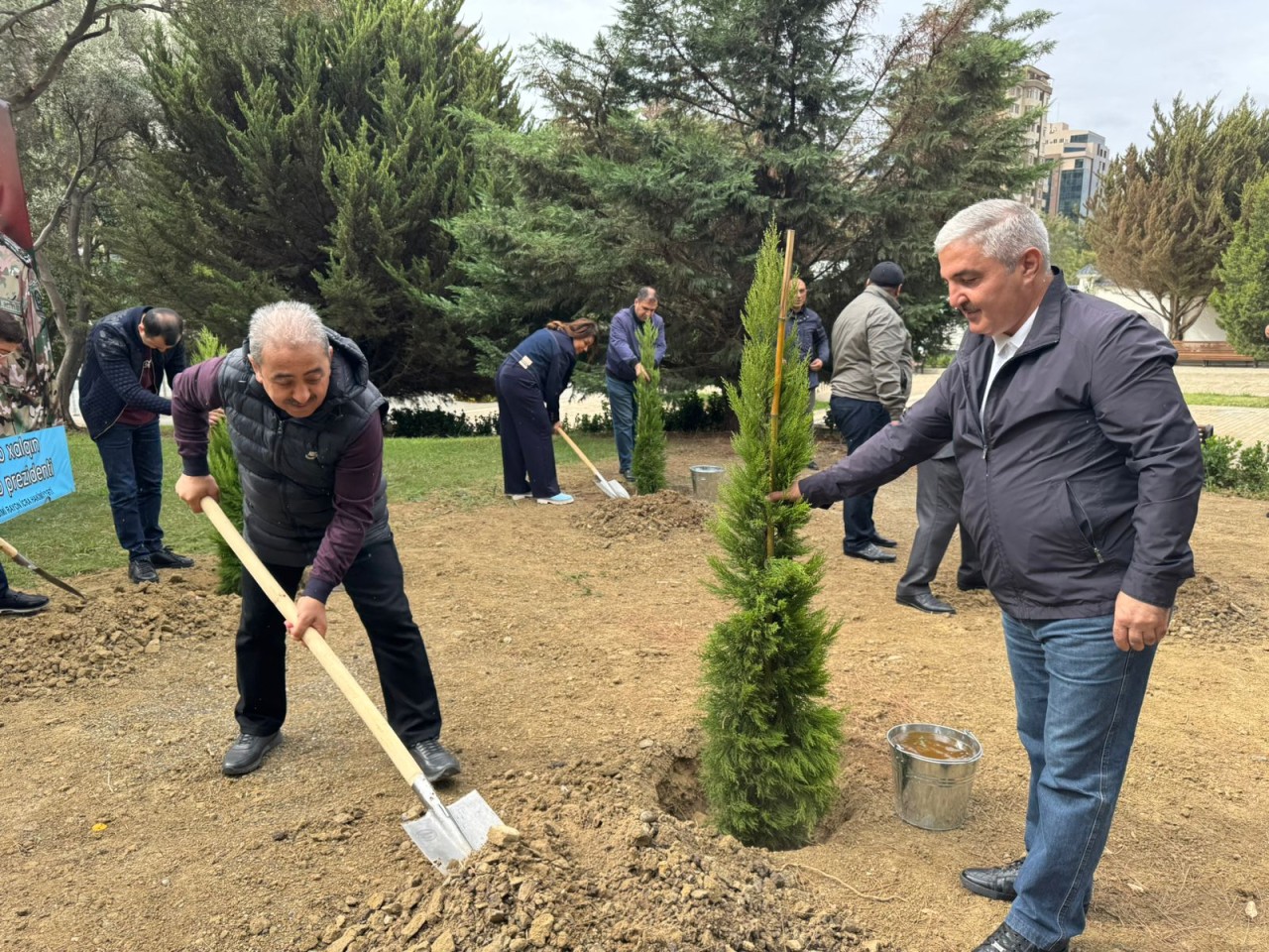 YAP Nəsimi rayon təşkilatı ağacəkmə aksiyası keçirdi - FOTOLAR