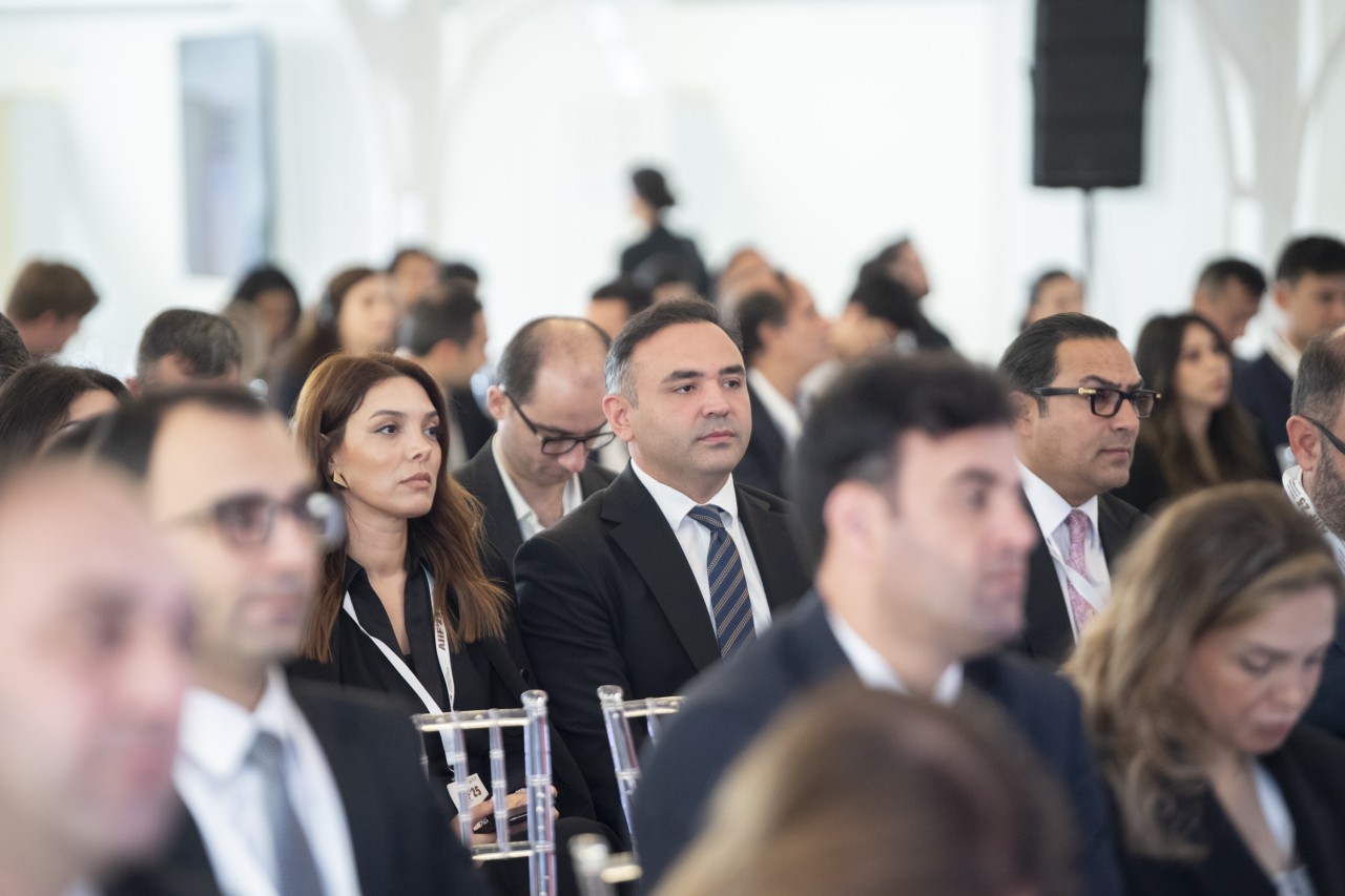 Məcnun Məmmədov beynəlxalq forumda çıxış edib - FOTOLAR