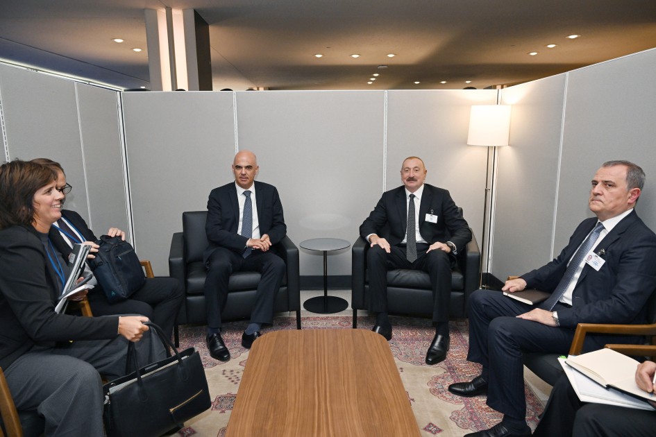 Prezident daha bir görüş keçirdi - FOTOLAR