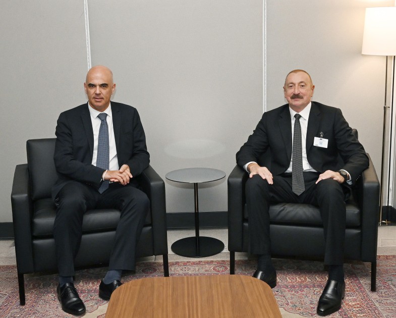 Prezident daha bir görüş keçirdi - FOTOLAR