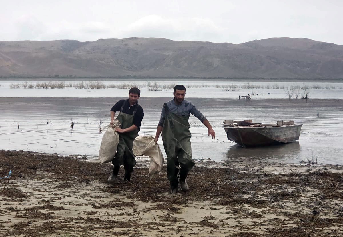 Mingəçevir su anbarında qanunsuz balıq ovu aşkarlanıb - FOTOLAR