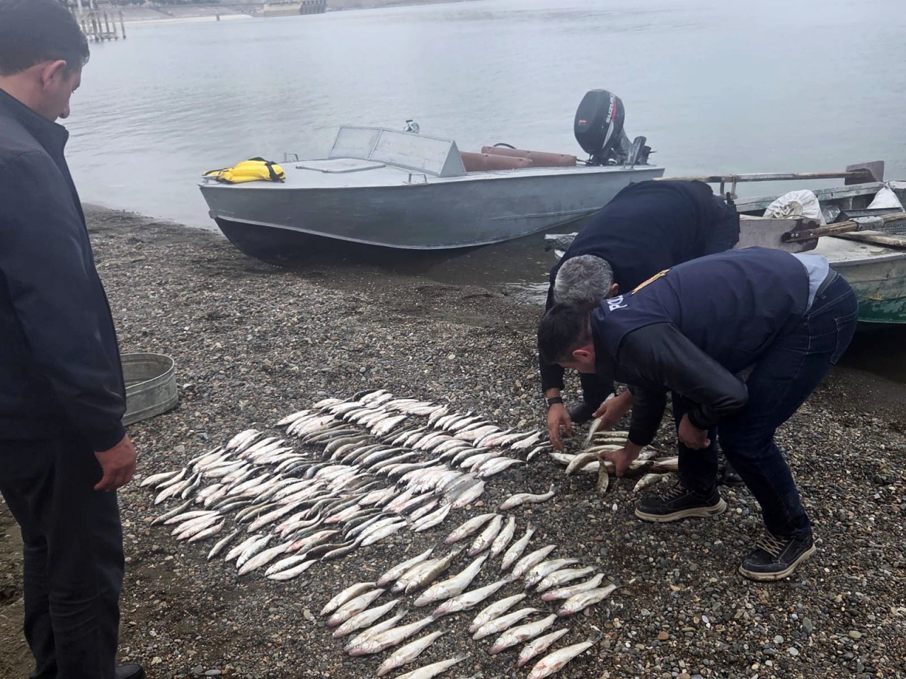 Mingəçevir su anbarında qanunsuz balıq ovu aşkarlanıb - FOTOLAR