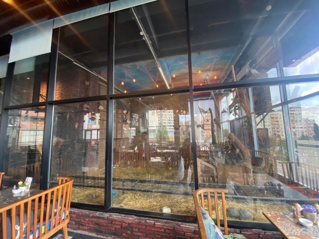 “Kolorit”də heyvanlar qanunsuz saxlanılırmış - FOTOLAR