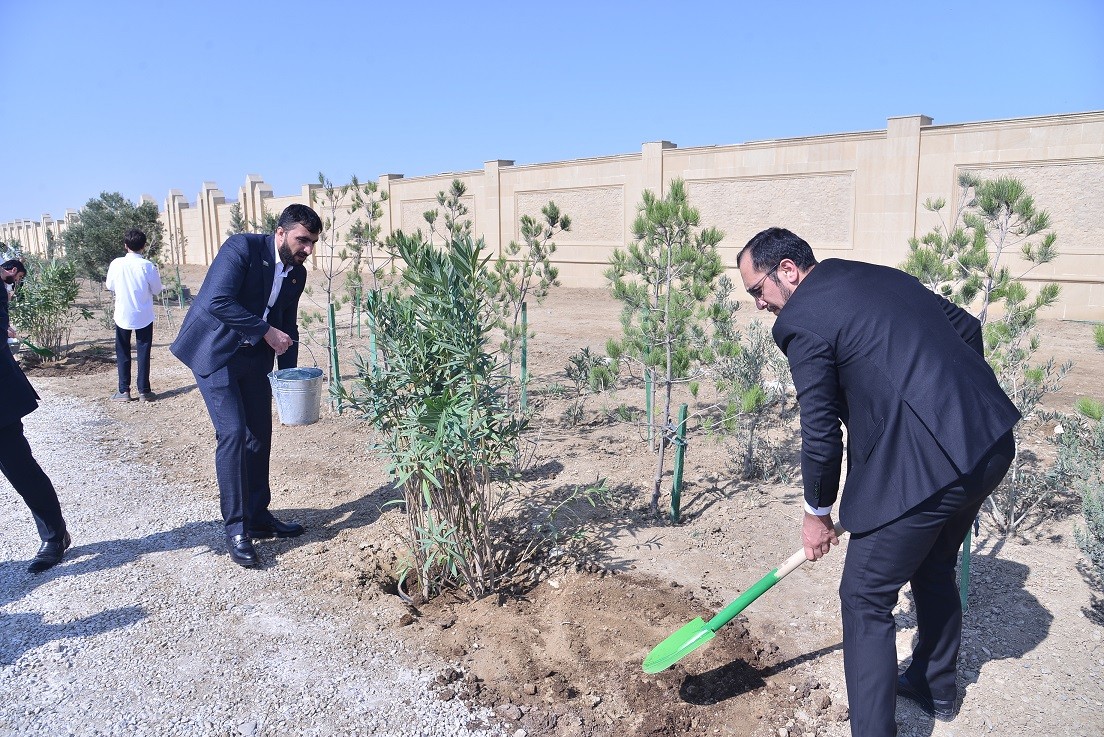 Qaradağda ağacəkmə aksiyası keçirilib - FOTOLAR