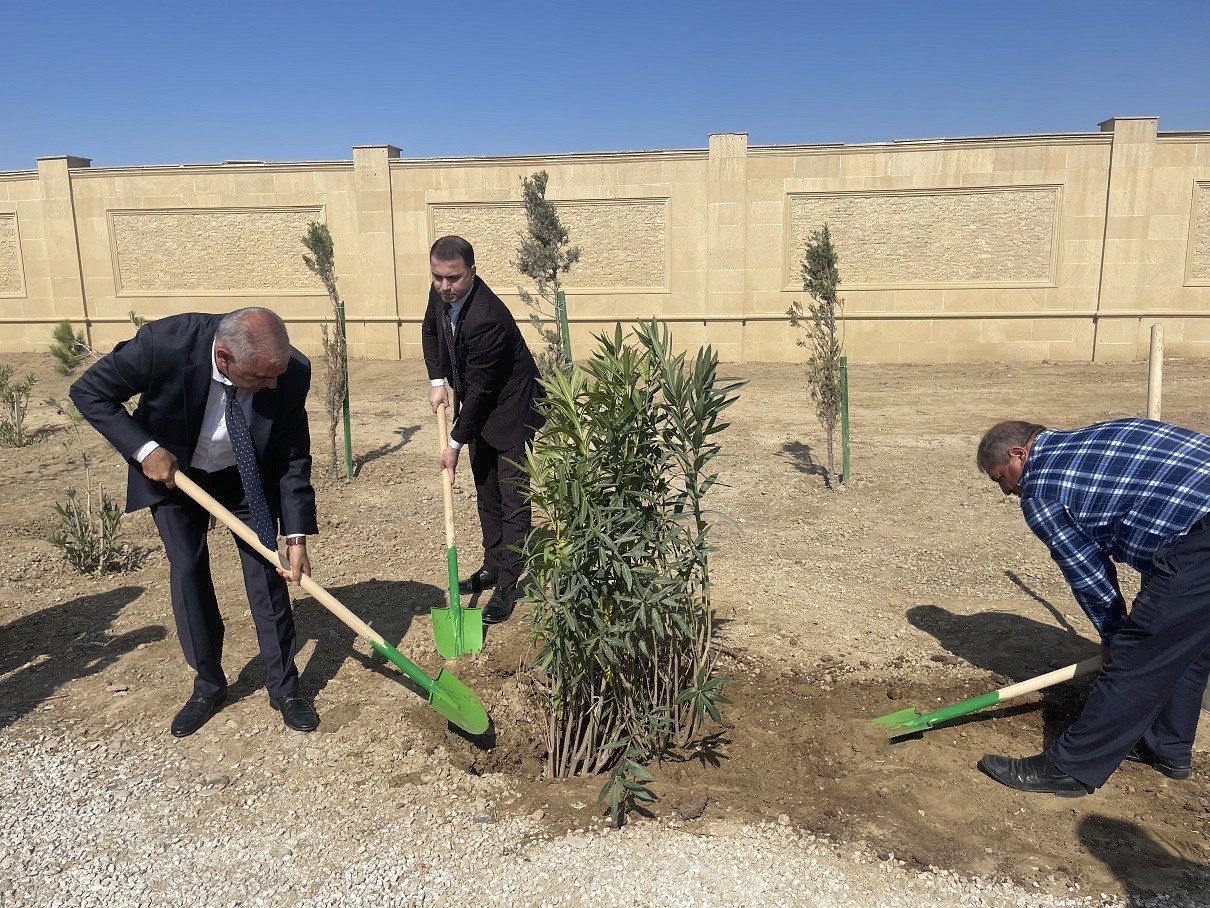 Qaradağda ağacəkmə aksiyası keçirilib - FOTOLAR