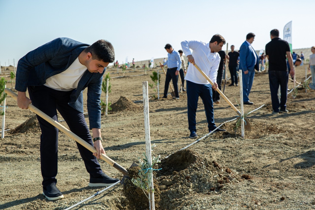 Anım Günü ilə əlaqədar ağacəkmə aksiyası keçirilib - FOTOLAR