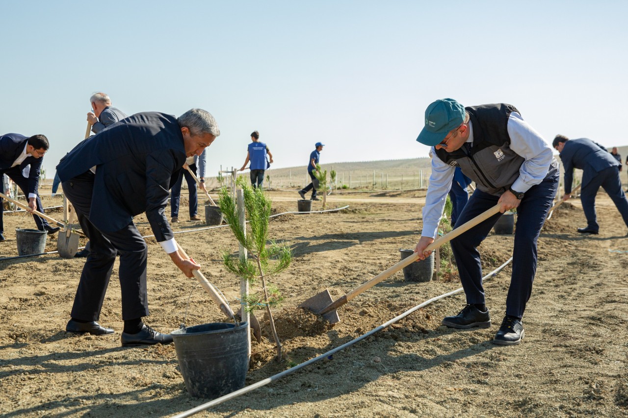 Anım Günü ilə əlaqədar ağacəkmə aksiyası keçirilib - FOTOLAR