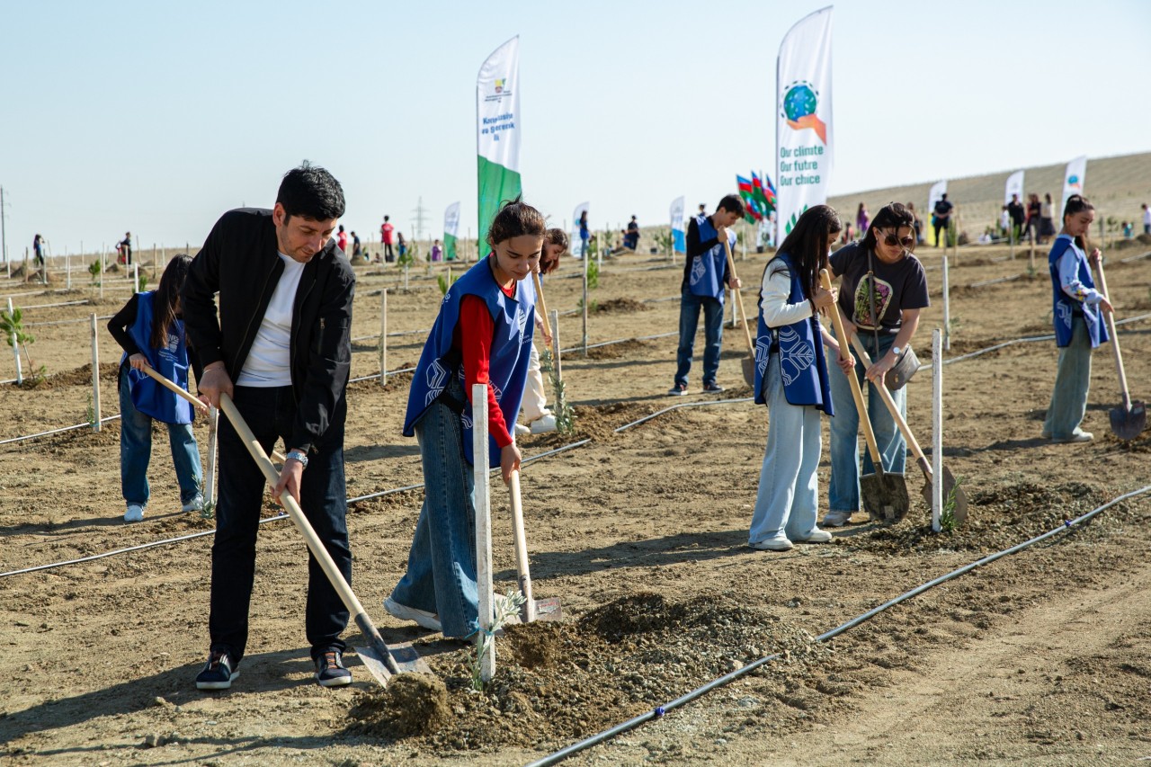 Anım Günü ilə əlaqədar ağacəkmə aksiyası keçirilib - FOTOLAR