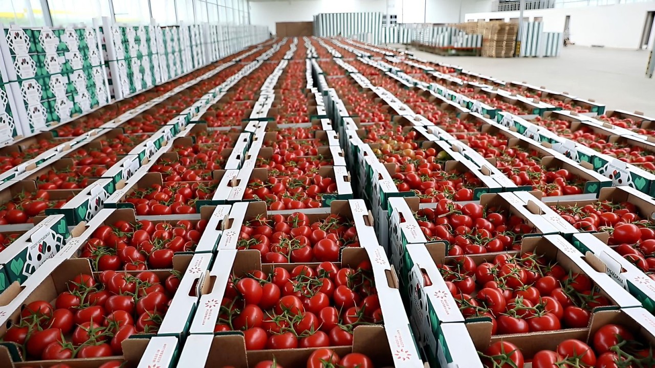 AQTA bu sahibkarlara xəbərdarlıq etdi - FOTOLAR