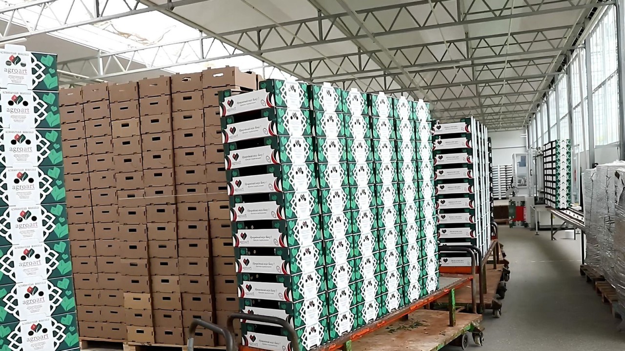 AQTA bu sahibkarlara xəbərdarlıq etdi - FOTOLAR